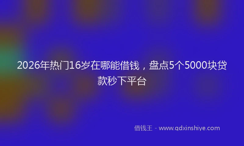2026年热门16岁在哪能借钱，盘点5个5000块贷款秒下平台