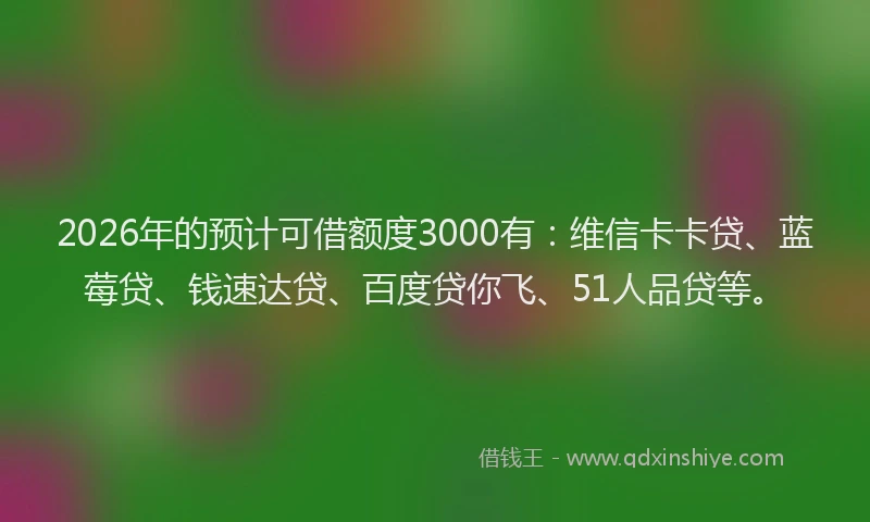 2026年的预计可借额度3000有：维信卡卡贷、蓝莓贷、钱速达贷、百度贷你飞、51人品贷等。