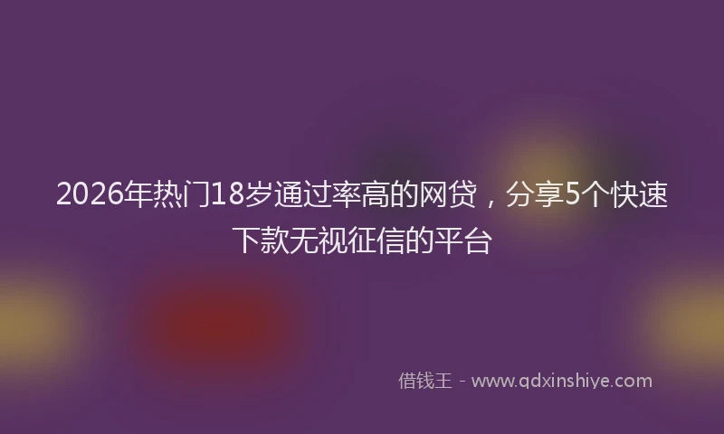 2026年热门18岁通过率高的网贷，分享5个快速下款无视征信的平台