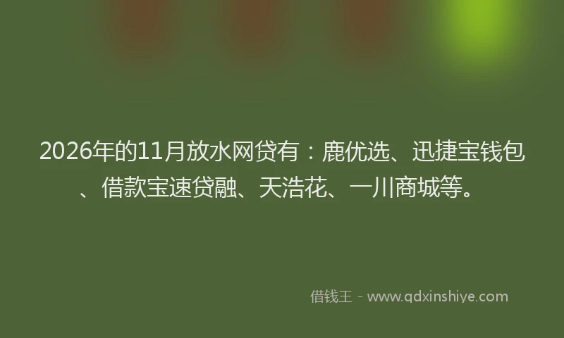 2026年的11月放水网贷有：鹿优选、迅捷宝钱包、借款宝速贷融、天浩花、一川商城等。