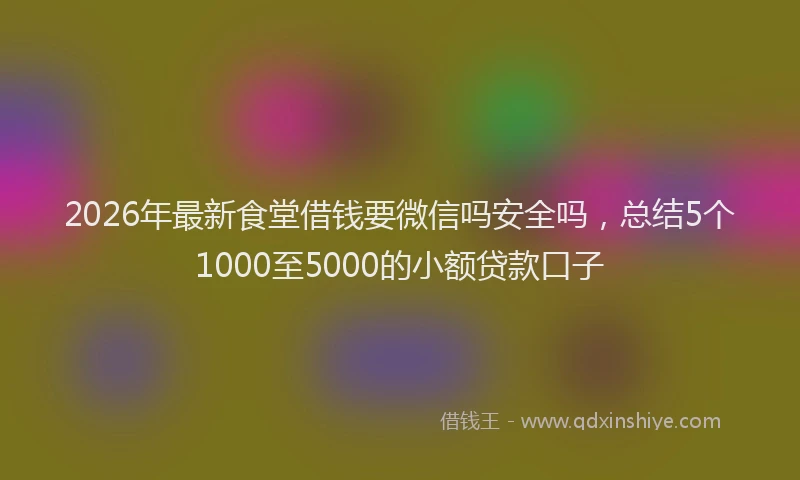 2026年最新食堂借钱要微信吗安全吗，总结5个1000至5000的小额贷款口子