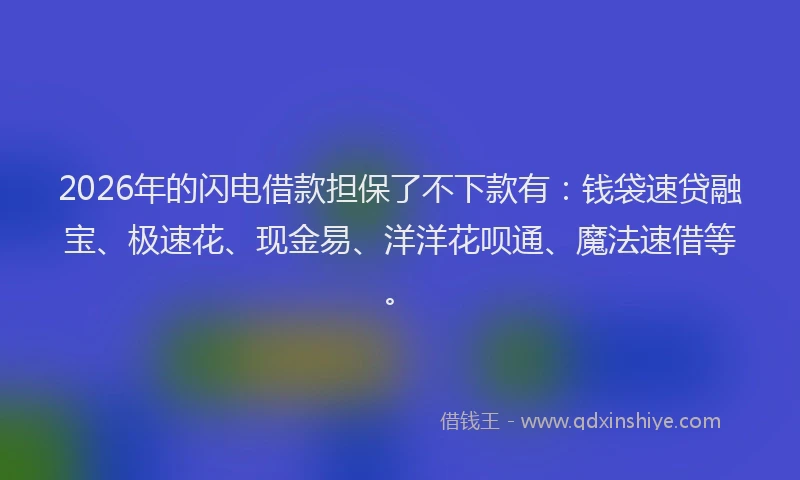 2026年的闪电借款担保了不下款有：钱袋速贷融宝、极速花、现金易、洋洋花呗通、魔法速借等。