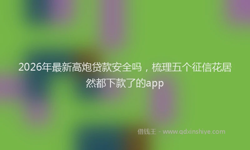 2026年最新高炮贷款安全吗，梳理五个征信花居然都下款了的app
