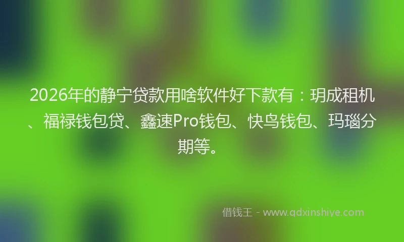 2026年的静宁贷款用啥软件好下款有：玥成租机、福禄钱包贷、鑫速Pro钱包、快鸟钱包、玛瑙分期等。