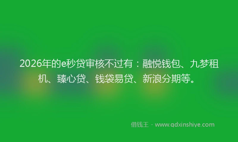 2026年的e秒贷审核不过有：融悦钱包、九梦租机、臻心贷、钱袋易贷、新浪分期等。