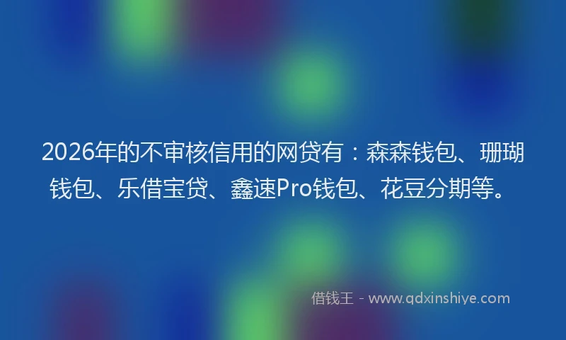 2026年的不审核信用的网贷有：森森钱包、珊瑚钱包、乐借宝贷、鑫速Pro钱包、花豆分期等。