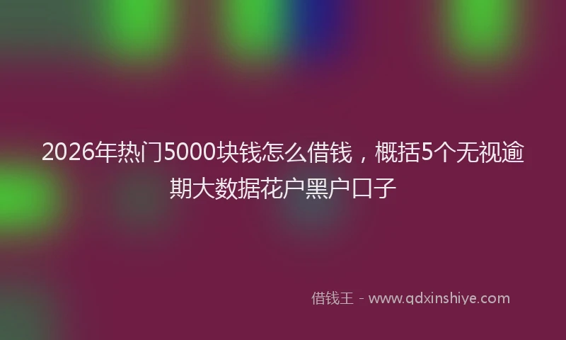 2026年热门5000块钱怎么借钱，概括5个无视逾期大数据花户黑户口子