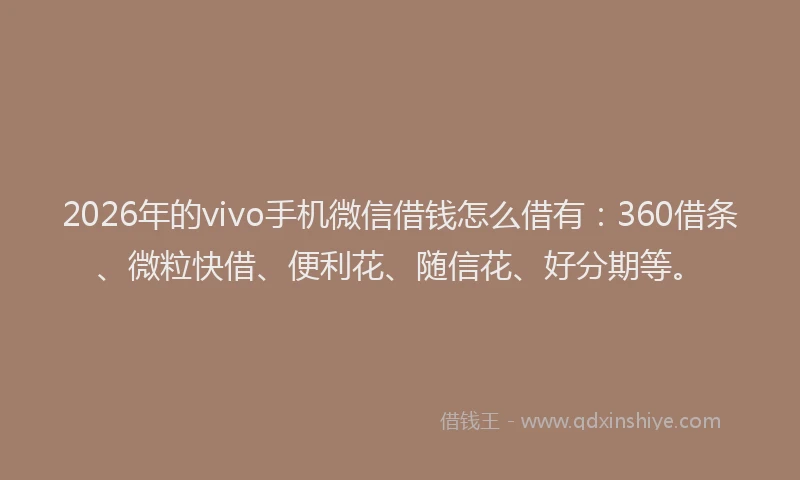 2026年的vivo手机微信借钱怎么借有：360借条、微粒快借、便利花、随信花、好分期等。