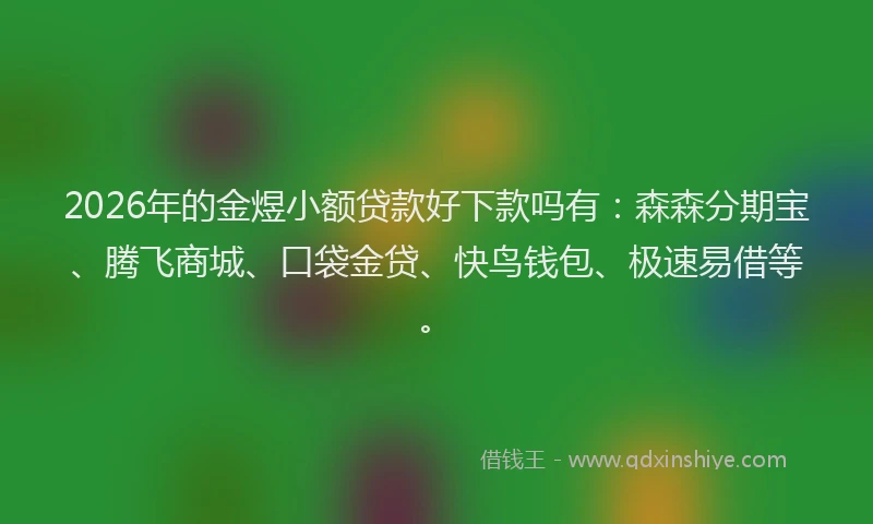 2026年的金煜小额贷款好下款吗有：森森分期宝、腾飞商城、口袋金贷、快鸟钱包、极速易借等。