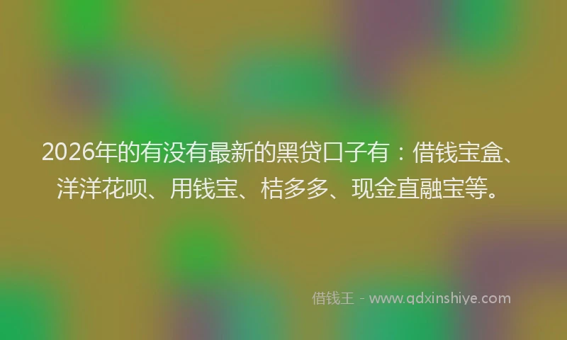 2026年的有没有最新的黑贷口子有：借钱宝盒、洋洋花呗、用钱宝、桔多多、现金直融宝等。