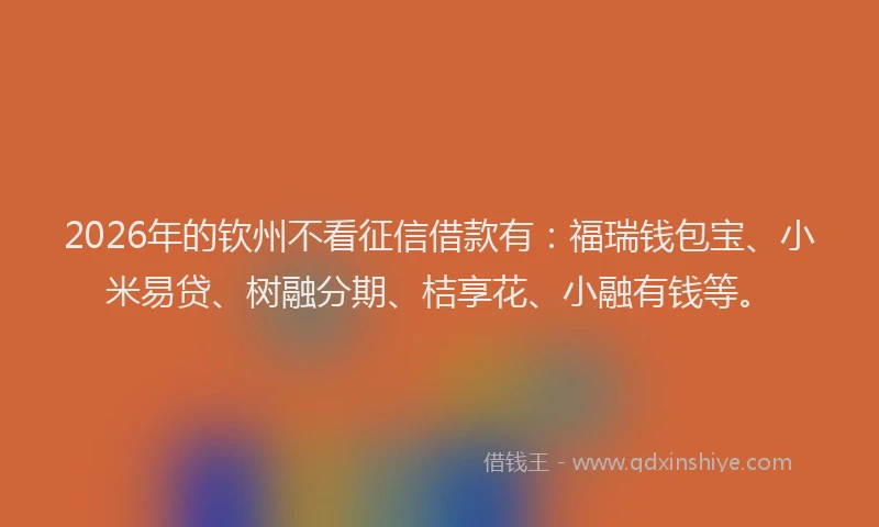 2026年的钦州不看征信借款有：福瑞钱包宝、小米易贷、树融分期、桔享花、小融有钱等。