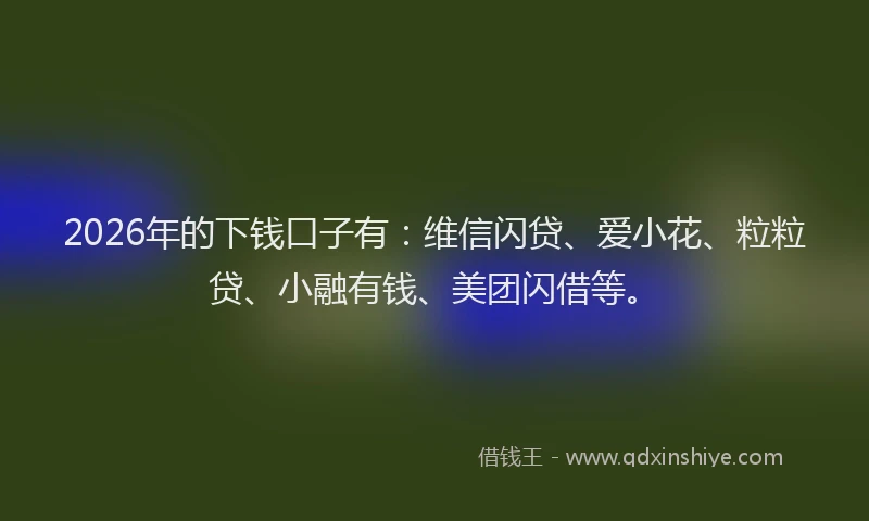 2026年的下钱口子有：维信闪贷、爱小花、粒粒贷、小融有钱、美团闪借等。