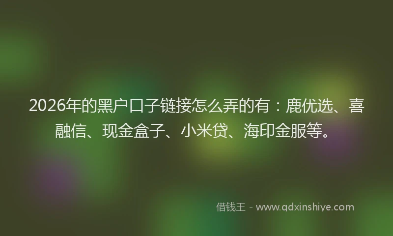 2026年的黑户口子链接怎么弄的有：鹿优选、喜融信、现金盒子、小米贷、海印金服等。