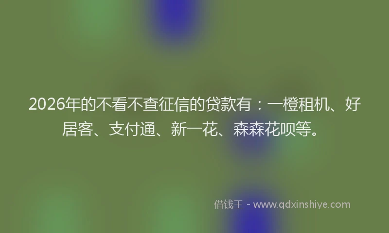2026年的不看不查征信的贷款有：一橙租机、好居客、支付通、新一花、森森花呗等。