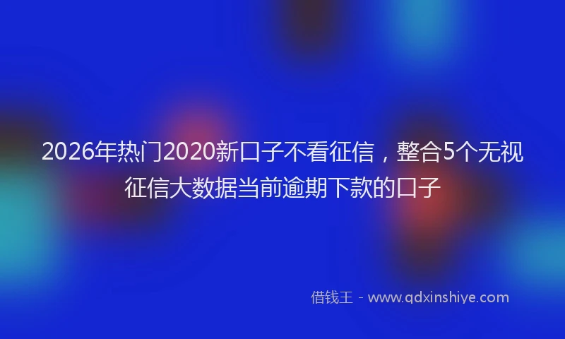2026年热门2020新口子不看征信，整合5个无视征信大数据当前逾期下款的口子