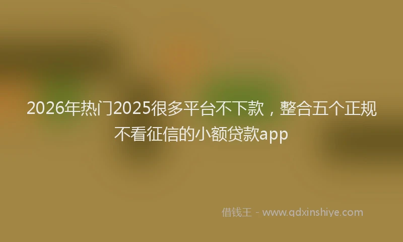 2026年热门2025很多平台不下款，整合五个正规不看征信的小额贷款app