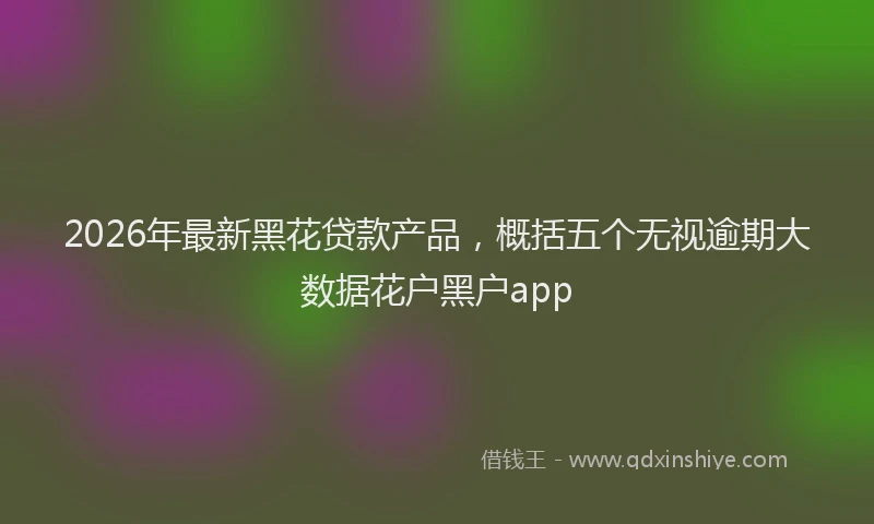 2026年最新黑花贷款产品，概括五个无视逾期大数据花户黑户app