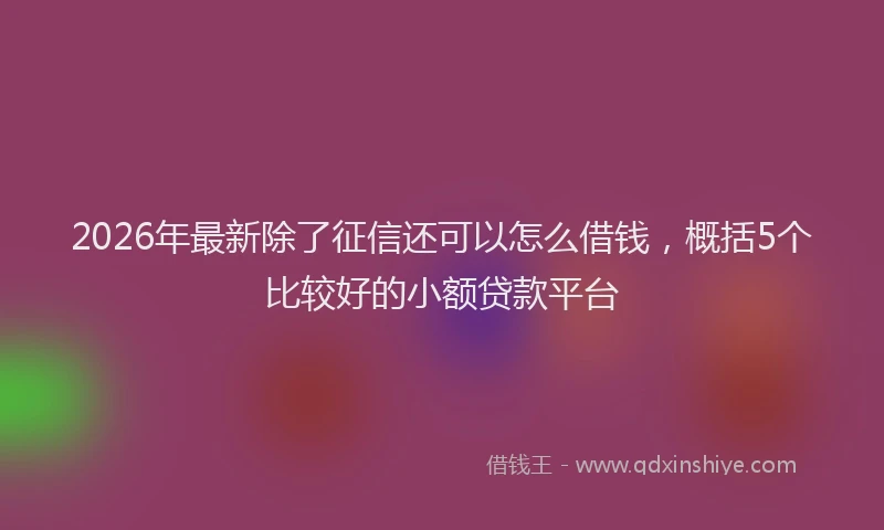 2026年最新除了征信还可以怎么借钱，概括5个比较好的小额贷款平台