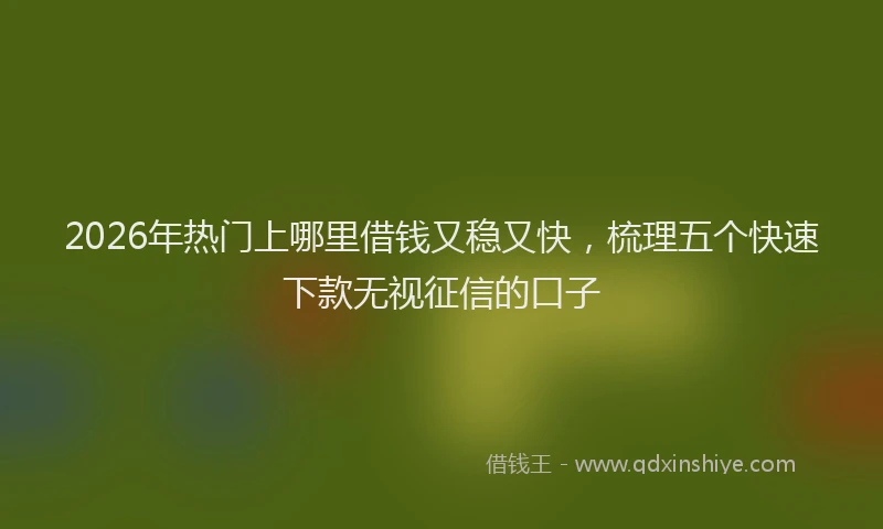 2026年热门上哪里借钱又稳又快，梳理五个快速下款无视征信的口子