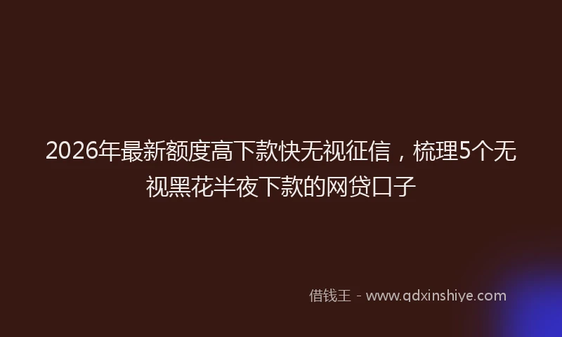 2026年最新额度高下款快无视征信，梳理5个无视黑花半夜下款的网贷口子