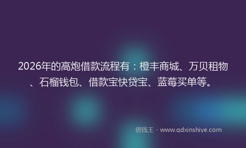 2026年的高炮借款流程有：橙丰商城、万贝租物、石榴钱包、借款宝快贷宝、蓝莓买单等。