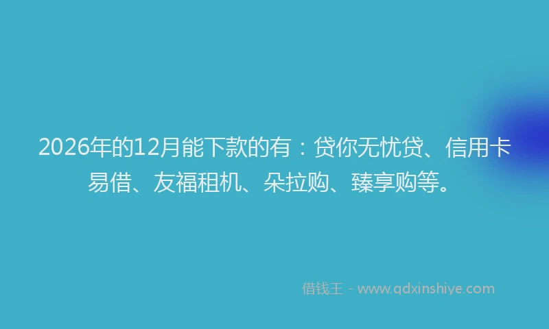 2026年的12月能下款的有：贷你无忧贷、信用卡易借、友福租机、朵拉购、臻享购等。
