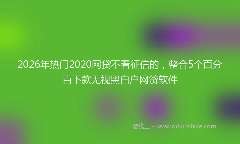2026年热门2020网贷不看征信的，整合5个百分百下款无视黑白户网贷软件
