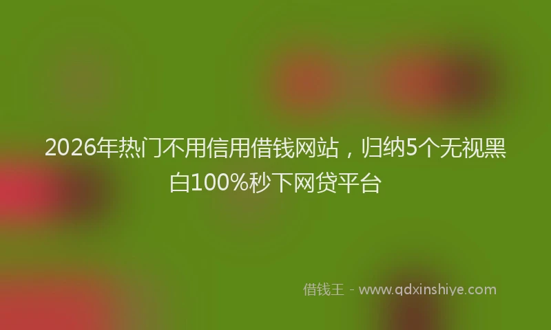 2026年热门不用信用借钱网站，归纳5个无视黑白100%秒下网贷平台