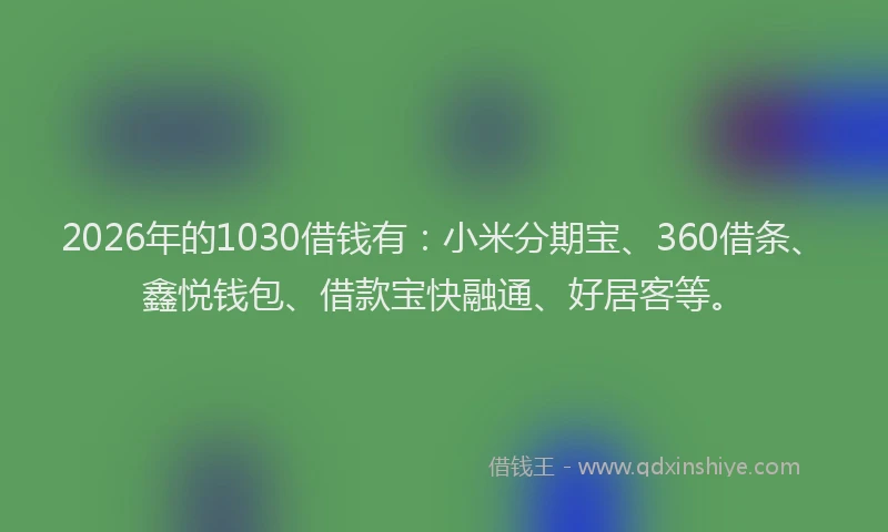 2026年的1030借钱有：小米分期宝、360借条、鑫悦钱包、借款宝快融通、好居客等。