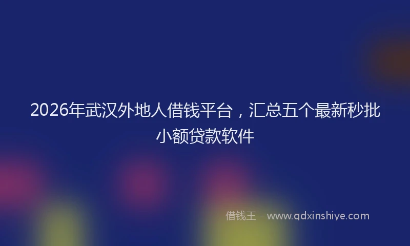 2026年武汉外地人借钱平台，汇总五个最新秒批小额贷款软件