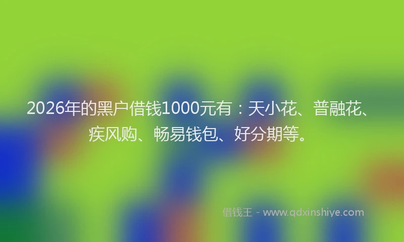 2026年的黑户借钱1000元有：天小花、普融花、疾风购、畅易钱包、好分期等。