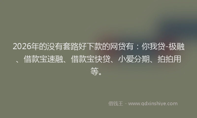 2026年的没有套路好下款的网贷有：你我贷-极融、借款宝速融、借款宝快贷、小爱分期、拍拍用等。