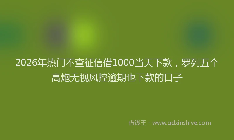 2026年热门不查征信借1000当天下款，罗列五个高炮无视风控逾期也下款的口子