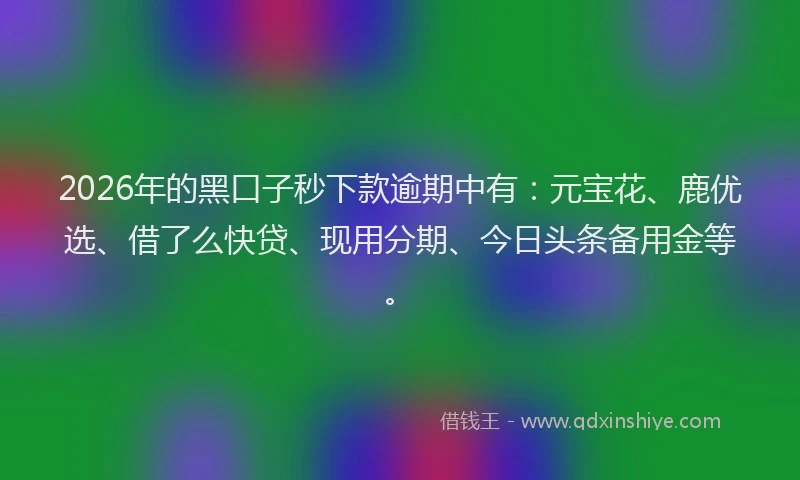 2026年的黑口子秒下款逾期中有：元宝花、鹿优选、借了么快贷、现用分期、今日头条备用金等。