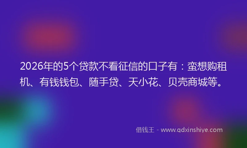 2026年的5个贷款不看征信的口子有：蛮想购租机、有钱钱包、随手贷、天小花、贝壳商城等。