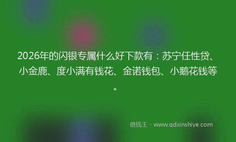 2026年的闪银专属什么好下款有：苏宁任性贷、小金鹿、度小满有钱花、金诺钱包、小鹅花钱等。