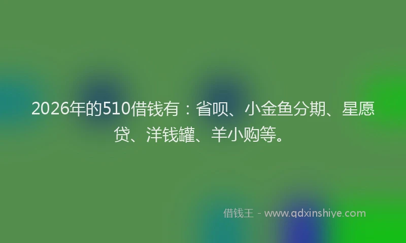 2026年的510借钱有：省呗、小金鱼分期、星愿贷、洋钱罐、羊小购等。