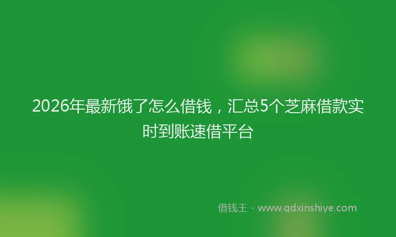 2026年最新饿了怎么借钱，汇总5个芝麻借款实时到账速借平台