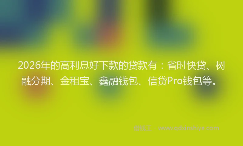 2026年的高利息好下款的贷款有：省时快贷、树融分期、金租宝、鑫融钱包、信贷Pro钱包等。