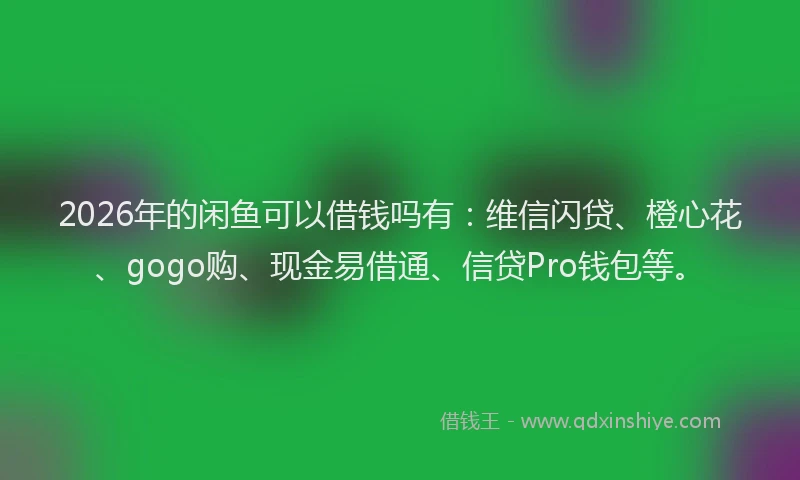 2026年的闲鱼可以借钱吗有：维信闪贷、橙心花、gogo购、现金易借通、信贷Pro钱包等。