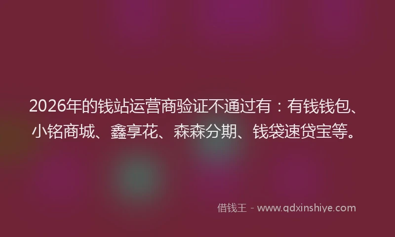 2026年的钱站运营商验证不通过有：有钱钱包、小铭商城、鑫享花、森森分期、钱袋速贷宝等。