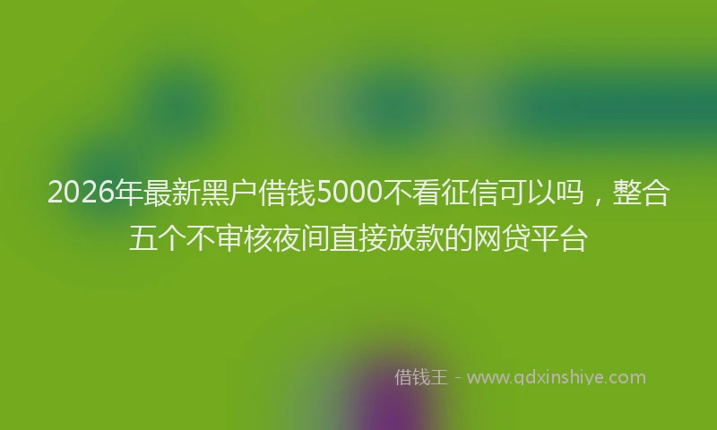 2026年最新黑户借钱5000不看征信可以吗，整合五个不审核夜间直接放款的网贷平台
