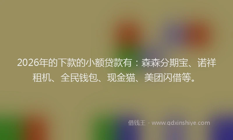 2026年的下款的小额贷款有：森森分期宝、诺祥租机、全民钱包、现金猫、美团闪借等。