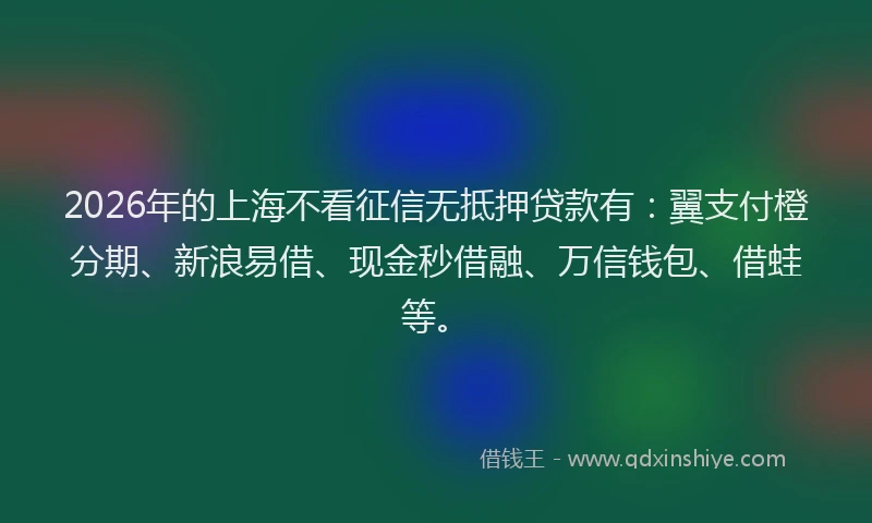 2026年的上海不看征信无抵押贷款有：翼支付橙分期、新浪易借、现金秒借融、万信钱包、借蛙等。