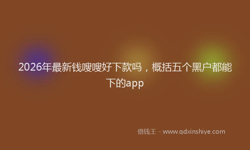 2026年最新钱嗖嗖好下款吗，概括五个黑户都能下的app