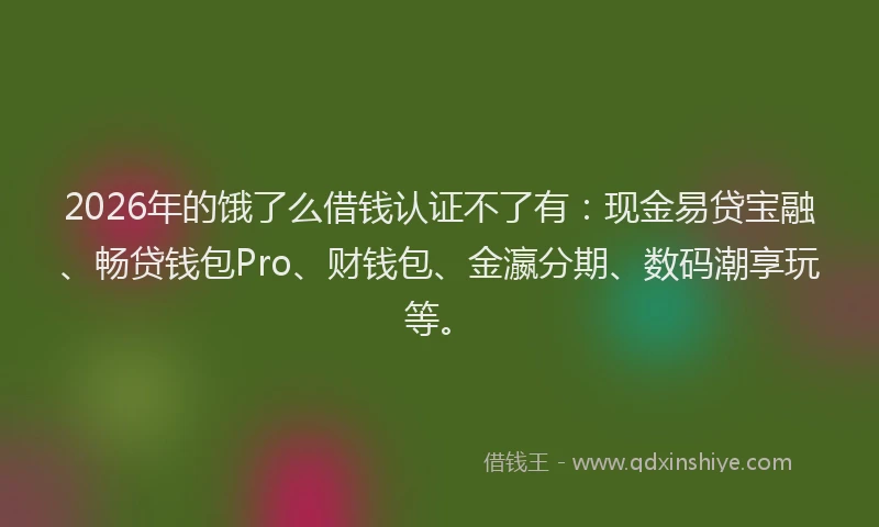 2026年的饿了么借钱认证不了有：现金易贷宝融、畅贷钱包Pro、财钱包、金瀛分期、数码潮享玩等。