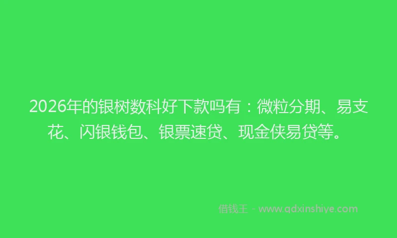 2026年的银树数科好下款吗有：微粒分期、易支花、闪银钱包、银票速贷、现金侠易贷等。