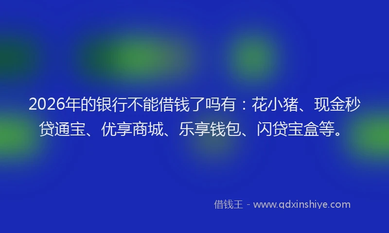 2026年的银行不能借钱了吗有：花小猪、现金秒贷通宝、优享商城、乐享钱包、闪贷宝盒等。