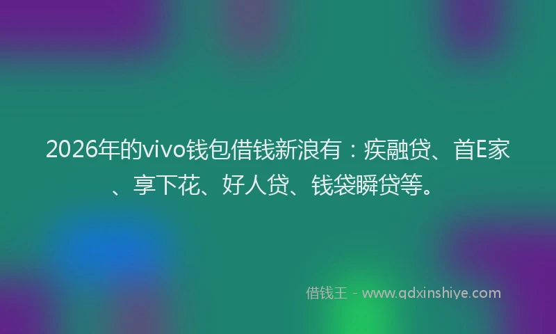 2026年的vivo钱包借钱新浪有：疾融贷、首E家、享下花、好人贷、钱袋瞬贷等。