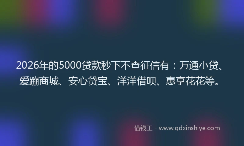 2026年的5000贷款秒下不查征信有：万通小贷、爱蹦商城、安心贷宝、洋洋借呗、惠享花花等。